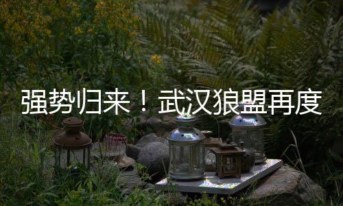 探秘名茶：武汉品茶网告诉你如何辨别茶叶品质